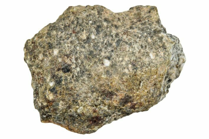 Howardite Meteorite ( g) - Bechar #287011